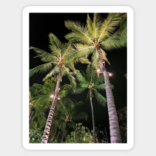 Palm Trees In Downtown Honolulu Sticker